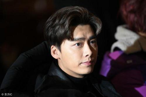 李易峰明星片,星光璀璨的青春偶像