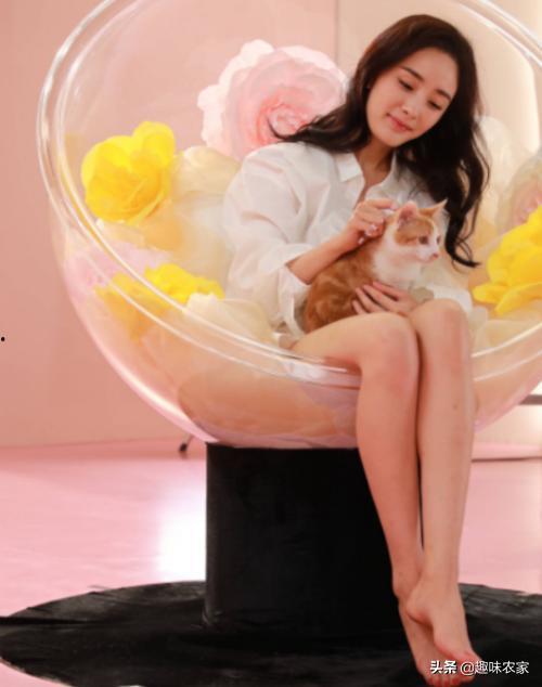 女明星的脚丫子图片,揭秘女明星的日常足部风采