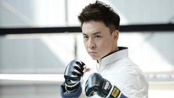 十小龙个人资料,揭秘青春偶像组合的成长之路