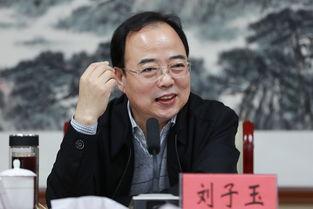 刘子玉演员,光影交织下的演艺人生